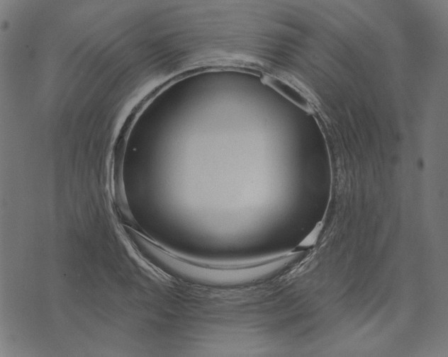 X0000073761128200608171350