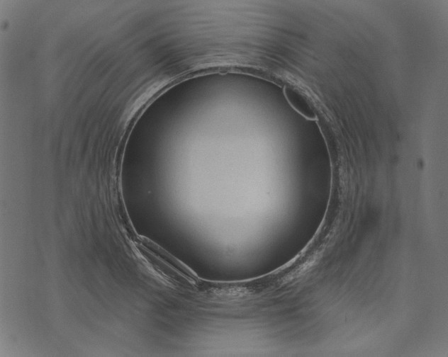 X0000073761129200608171350