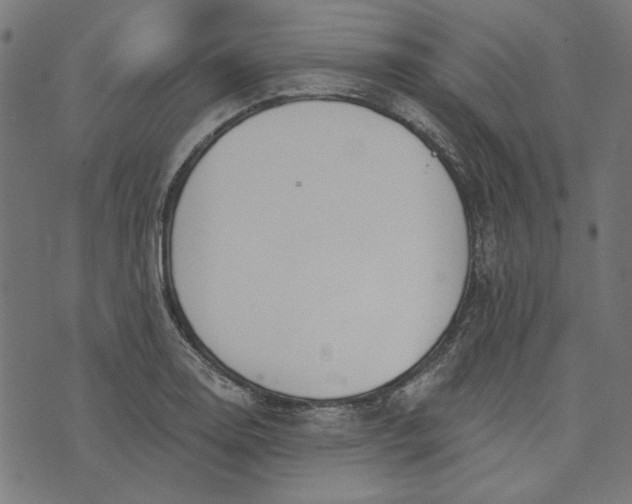 X0000073761130200608171350