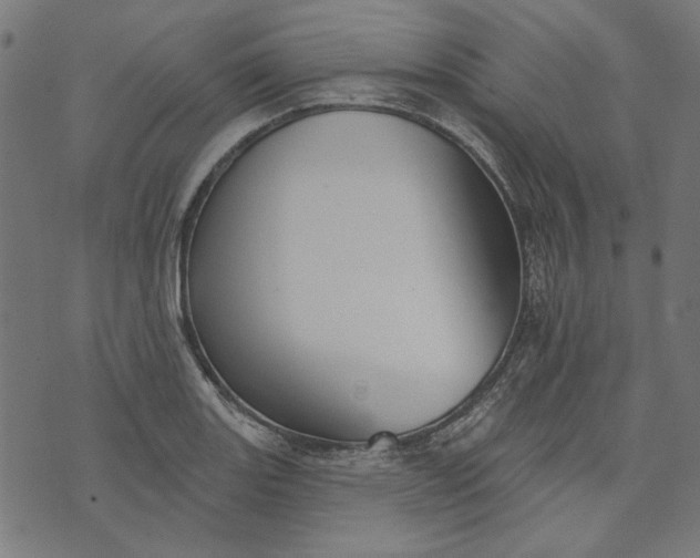 X0000073761131200608171350