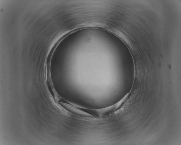 X0000073761132200608171350