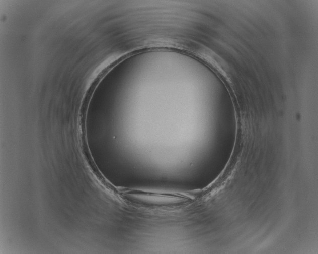 X0000073761133200608171350