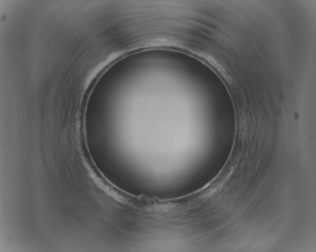 X0000073761134200608171350