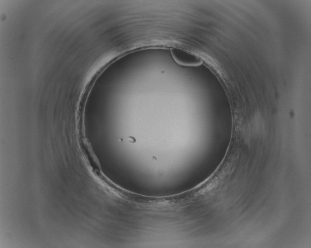 X0000073761135200608171350