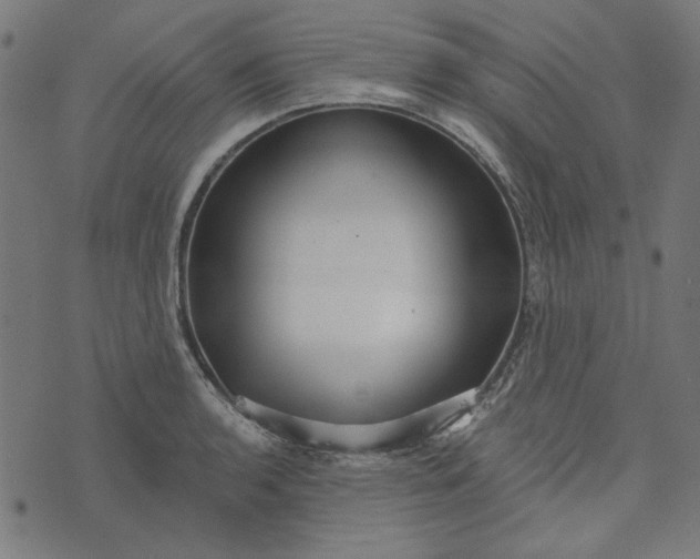 X0000073761136200608171350