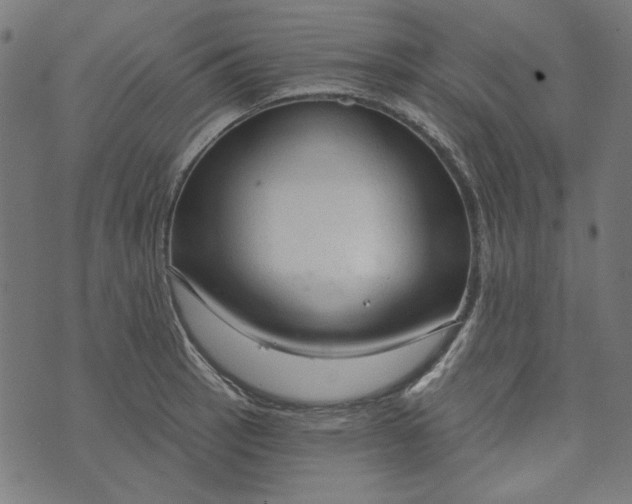 X0000073761137200608171350