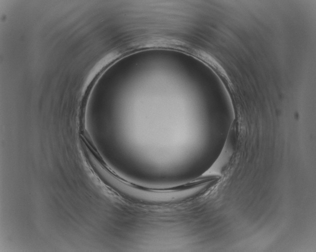 X0000073761138200608171350