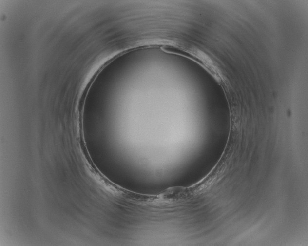 X0000073761140200608171350