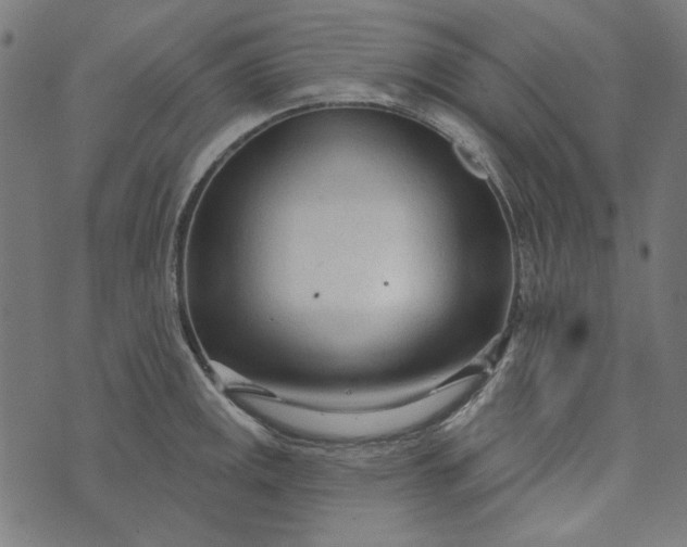 X0000073761141200608171350