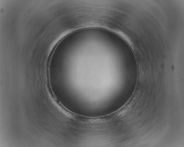 X0000073761142200608171350