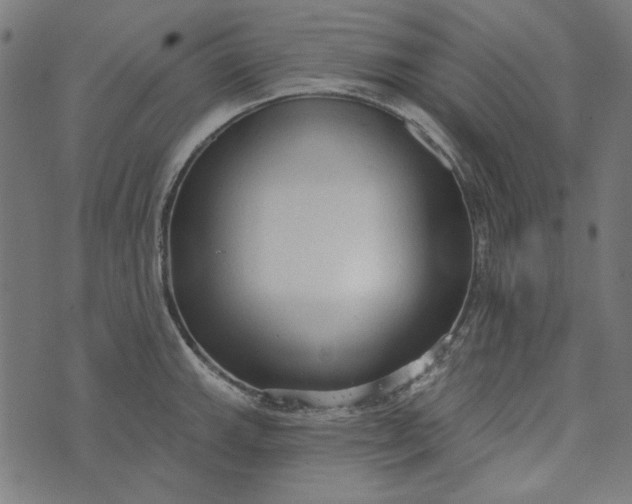 X0000073761143200608171350