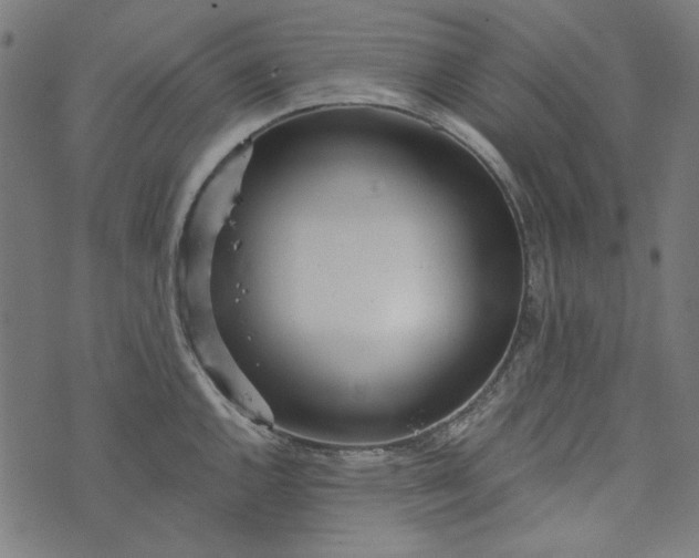 X0000073761144200608171350