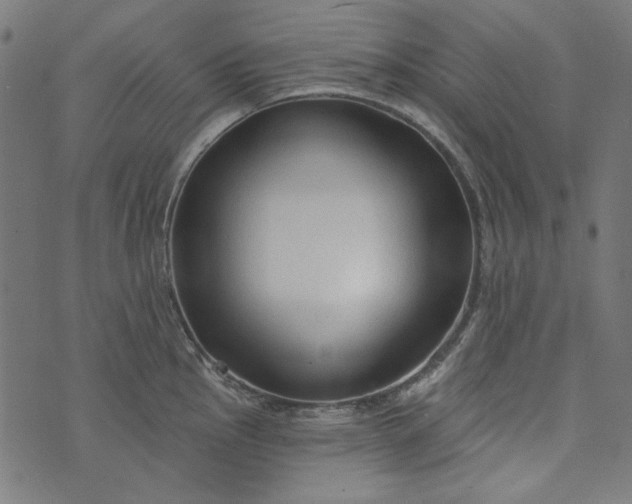 X0000073761145200608171350