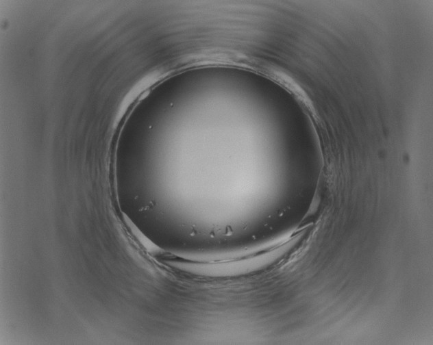 X0000073761146200608171350