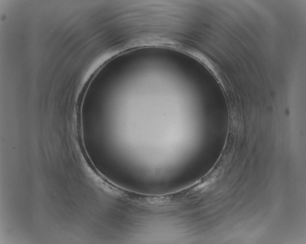 X0000073761147200608171350