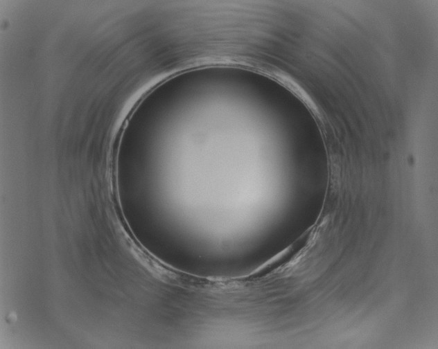 X0000073761148200608171350