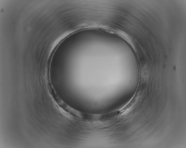 X0000073761149200608171350