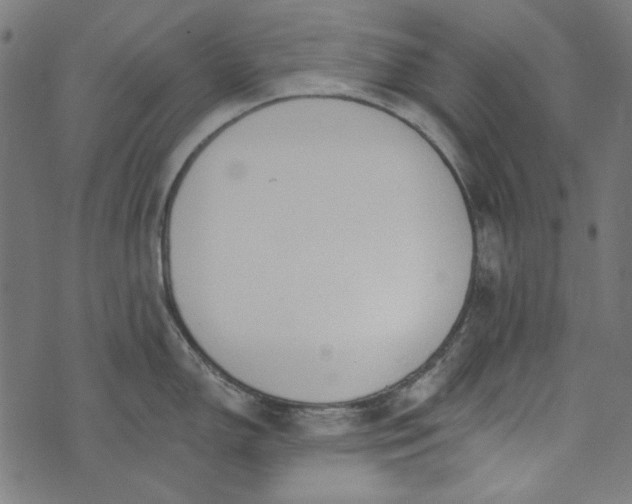 X0000073761150200608171350