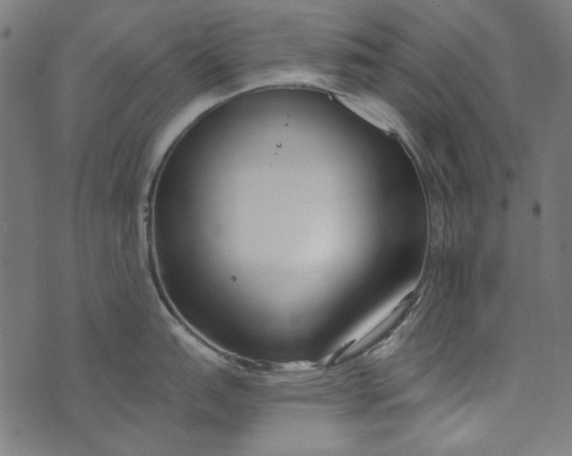 X0000073761151200608171350