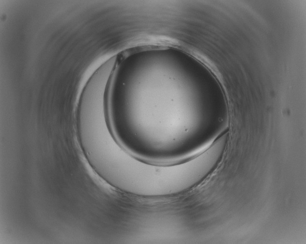 X0000073761152200608171350