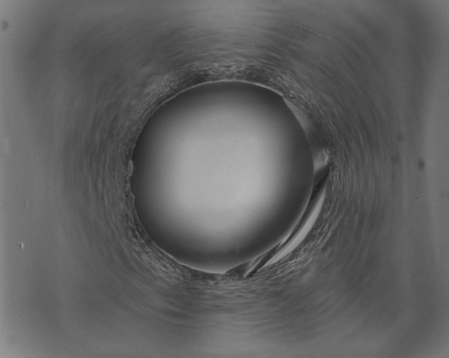 X0000073761153200608171349