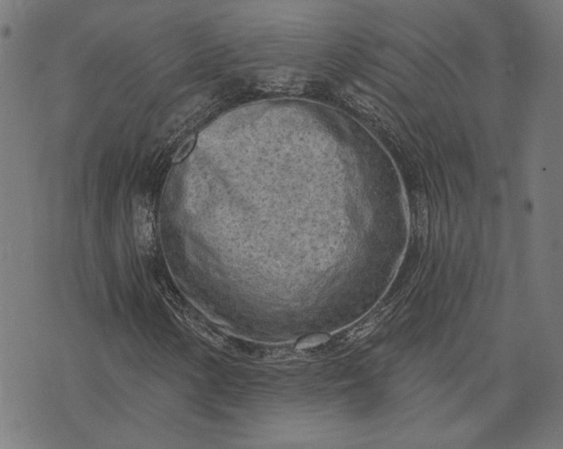 X0000073761154200608171349