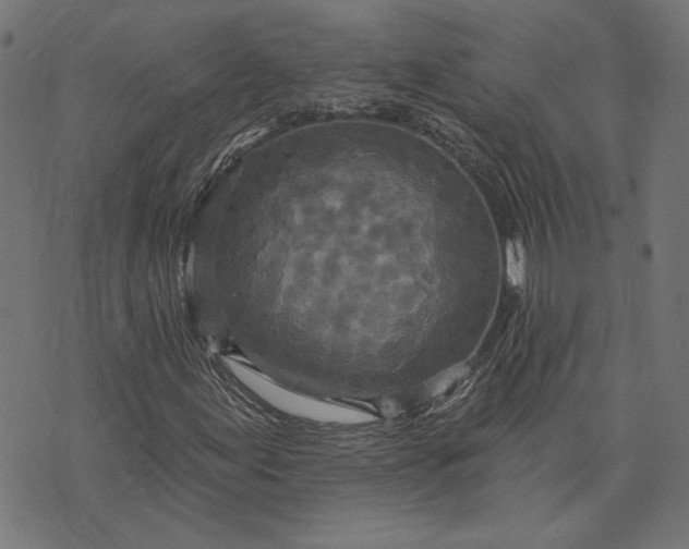 X0000073761155200608171349