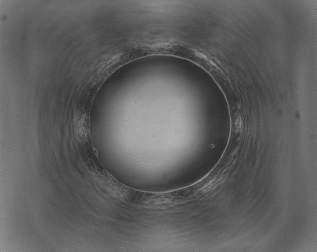 X0000073761156200608171349