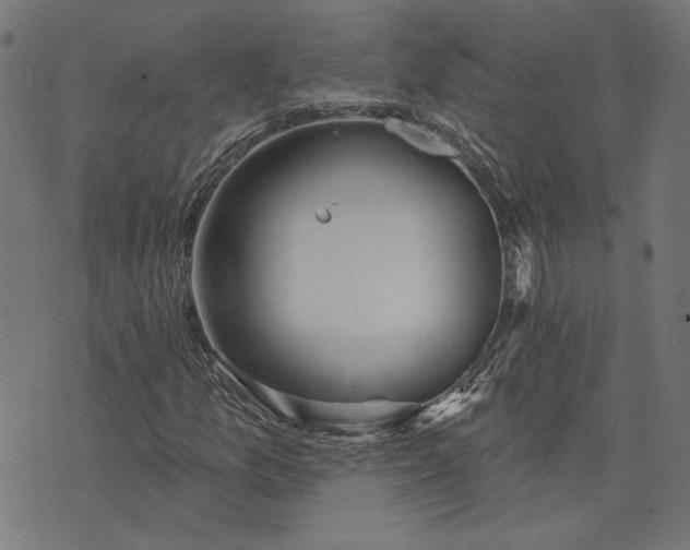 X0000073761157200608171349