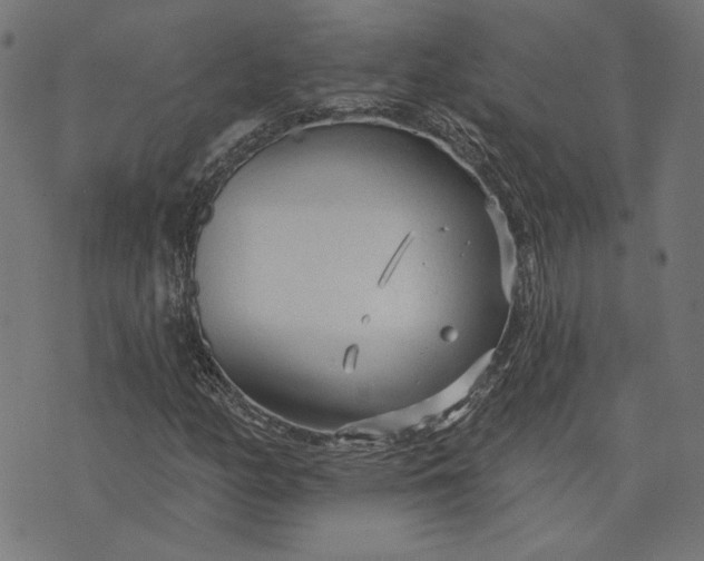 X0000073761158200608171349