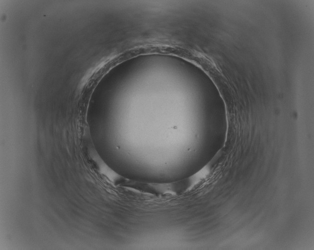 X0000073761159200608171349