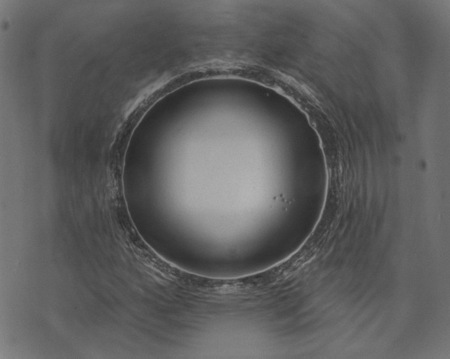 X0000073761160200608171349