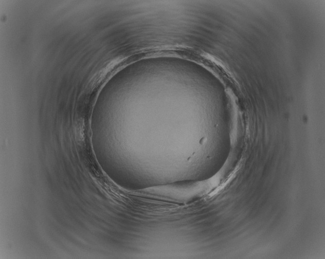 X0000073761161200608171349