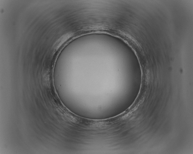 X0000073761162200608171349