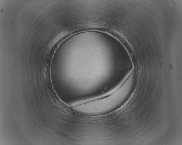 X0000073761163200608171349