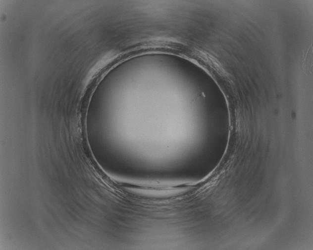 X0000073761164200608171349