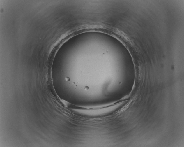 X0000073761165200608171349