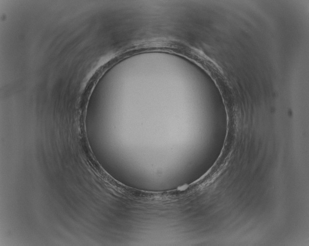 X0000073761166200608171349