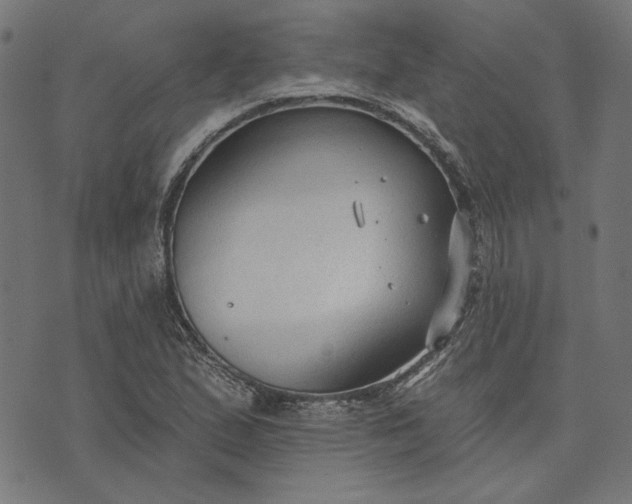 X0000073761167200608171349