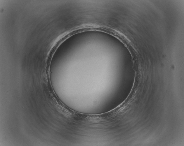 X0000073761168200608171349