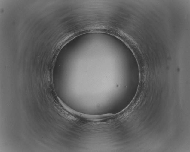 X0000073761169200608171349