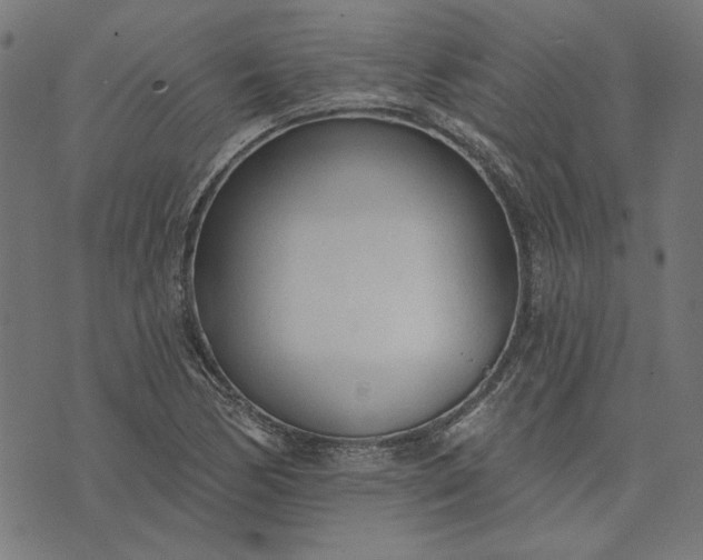 X0000073761170200608171349