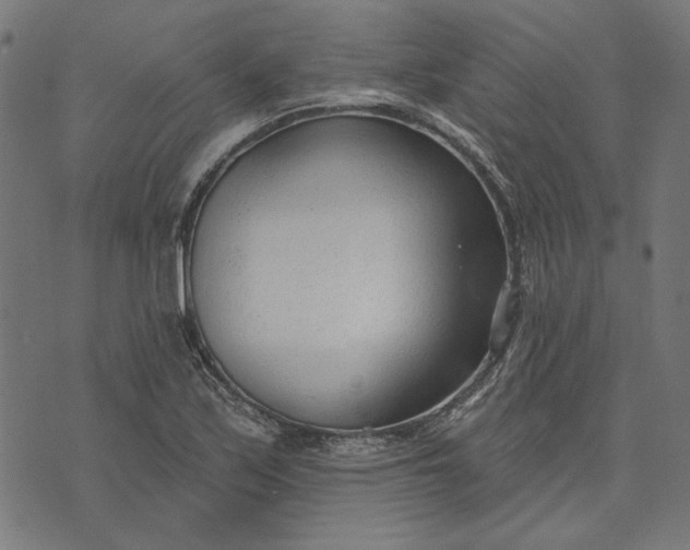 X0000073761171200608171349