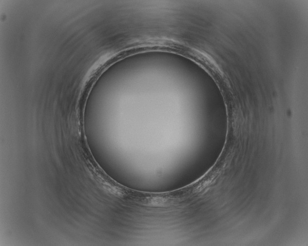 X0000073761172200608171349