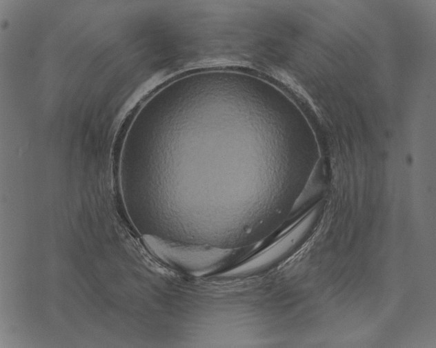 X0000073761173200608171349