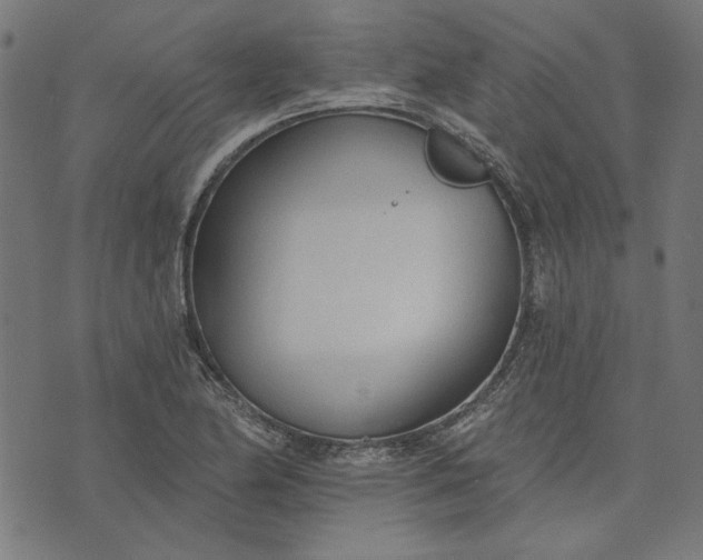 X0000073761174200608171349