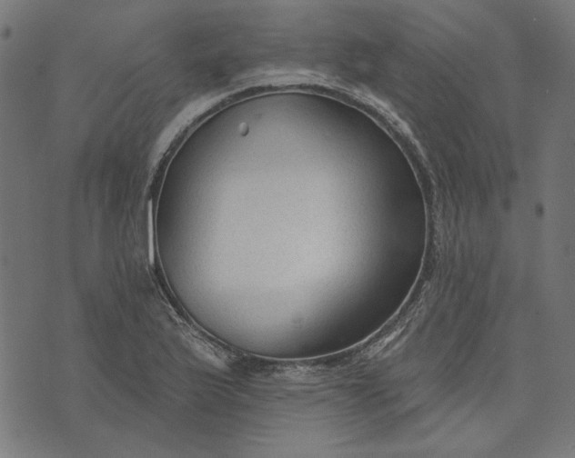 X0000073761175200608171349