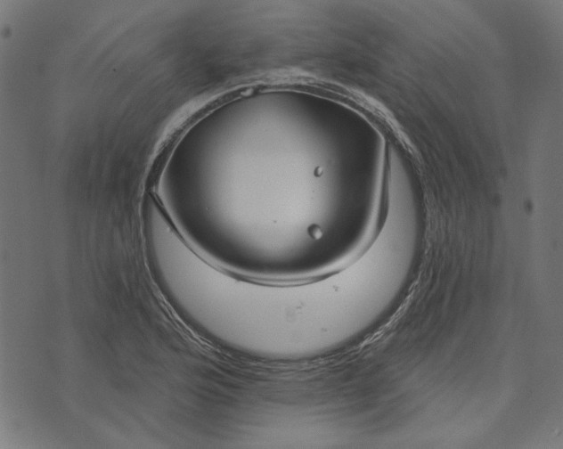 X0000073761176200608171349