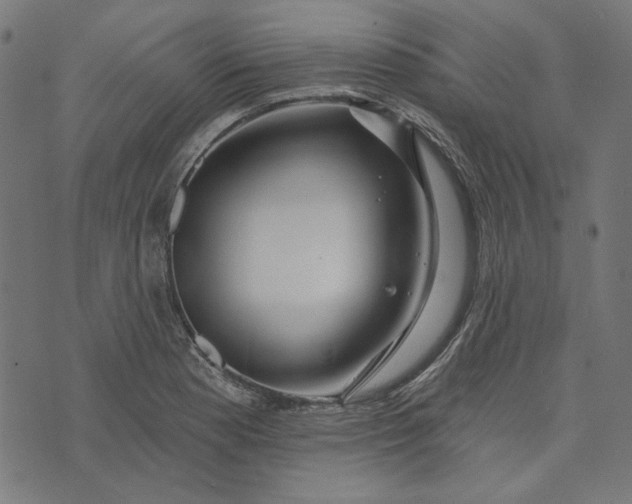 X0000073761177200608171349