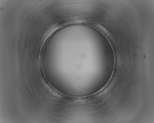 X0000073761178200608171349